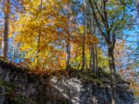 Felswand gekrönt von leuchtenden Herbstbäumen